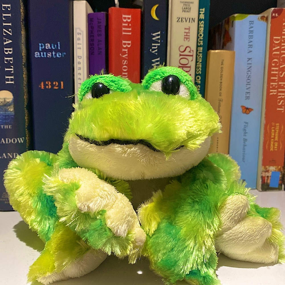 FINAL SALE!! Ganz Webkinz Tie Dye Frog Plush Soft Green Stuffed Animal 10”